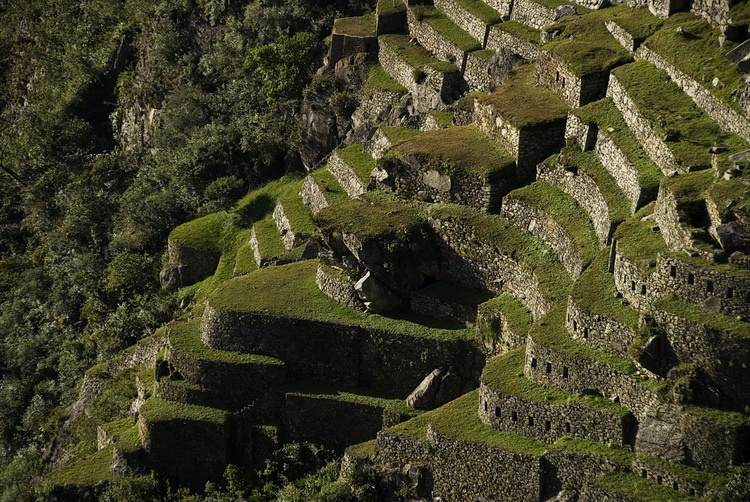 Террасы. Мачу-Пикчу, Перу