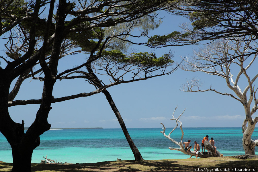 Сосновый Остров в Новой Каледонии Новая Каледония