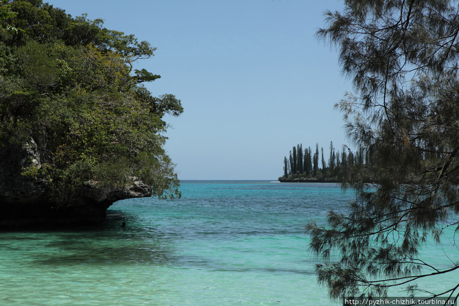Сосновый Остров в Новой Каледонии Новая Каледония