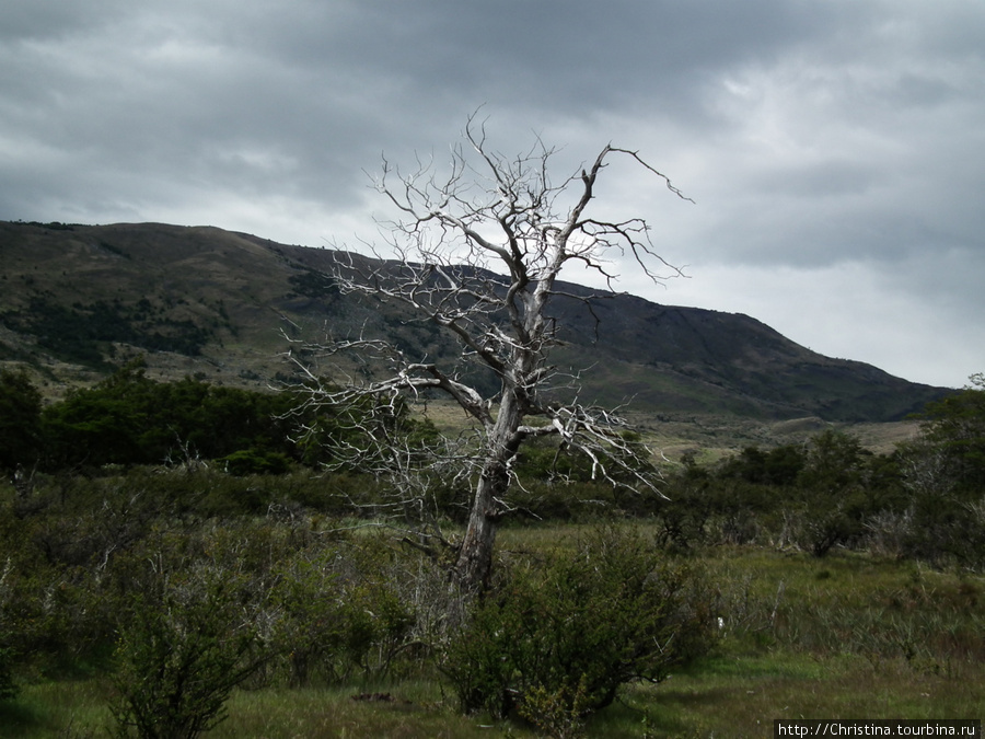 Патагония на всегда. Национальный парк Торрес-дель-Пайне, Чили