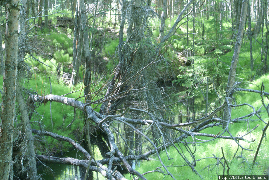 Earthquake Park Анкоридж, CША