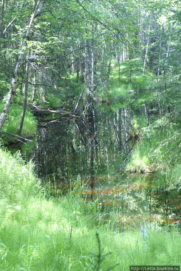 Earthquake Park Анкоридж, CША