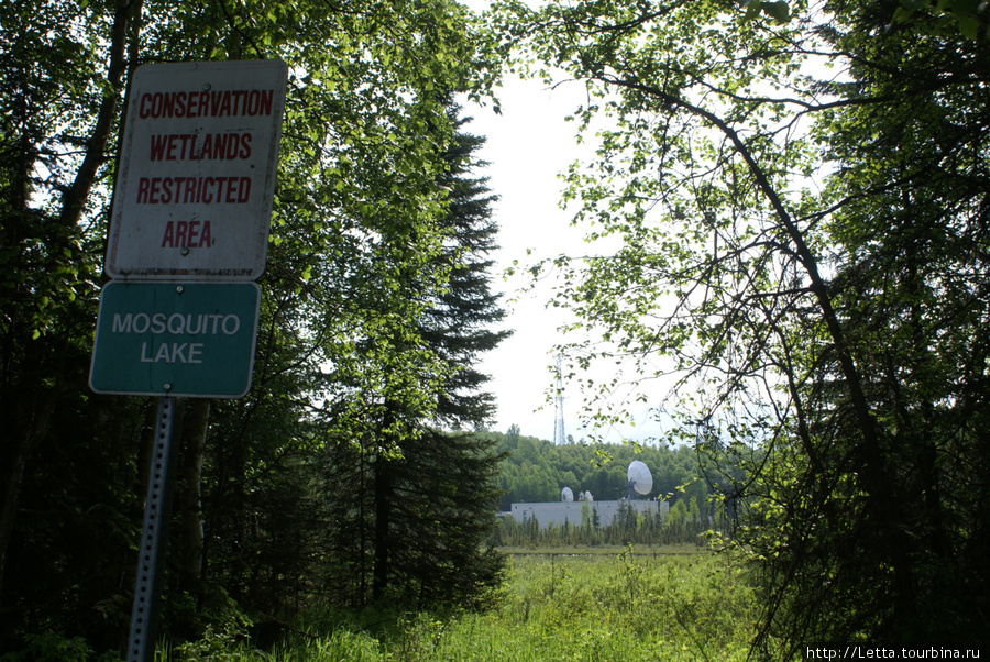 Университетский городок Анкоридж, CША