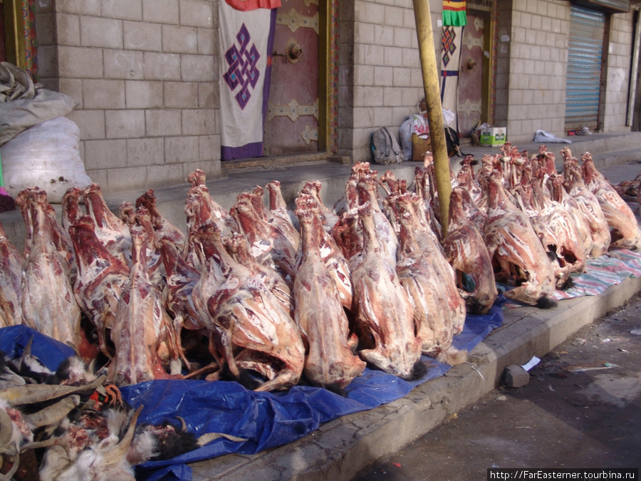 замороженные тушки коз и баранов лежат прямо на улице Шигатзе, Китай