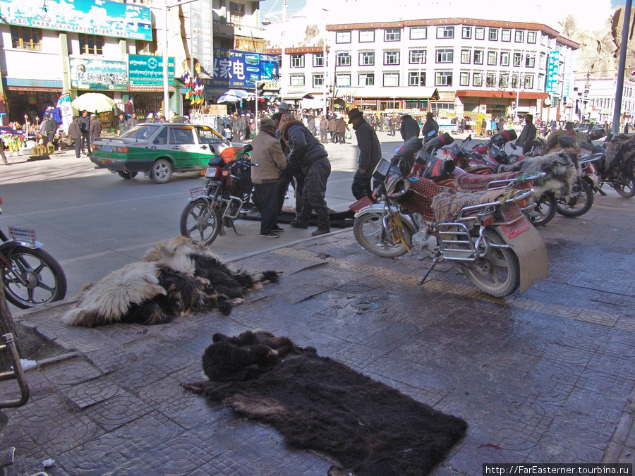крестьяне привезли на рынок шкуры животных Шигатзе, Китай