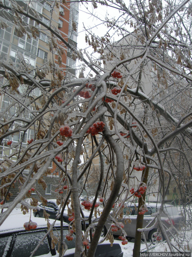 После зимнего дождя Москва, Россия