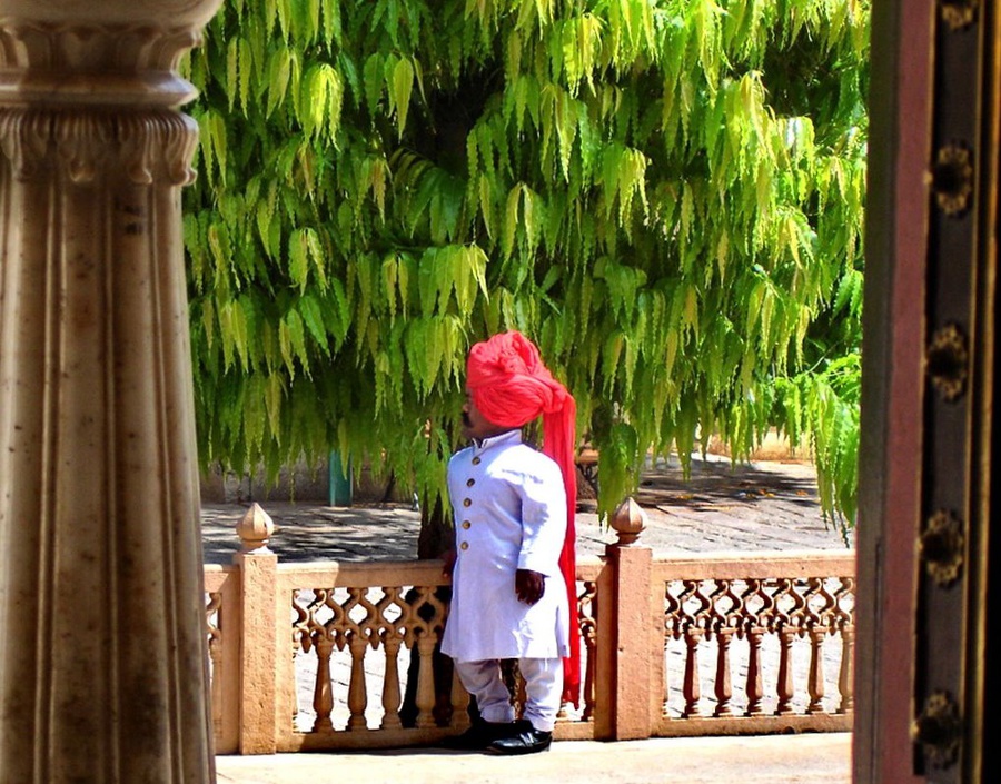 Маленький, большой человек Джайпур, Индия