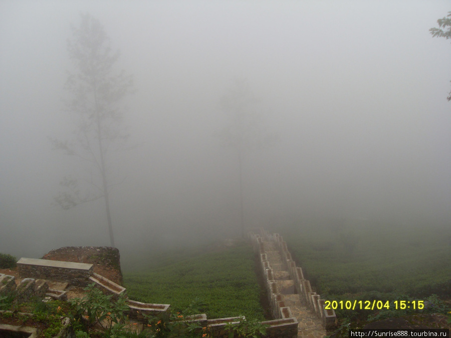 На самой вершине чайных плантаций нас окутал туман-шикарный вид вышел)))) Индурува, Шри-Ланка