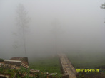 На самой вершине чайных плантаций нас окутал туман-шикарный вид вышел))))