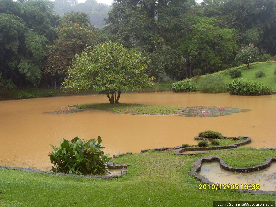 Королевский парк,утонули там в дожде..)) Индурува, Шри-Ланка