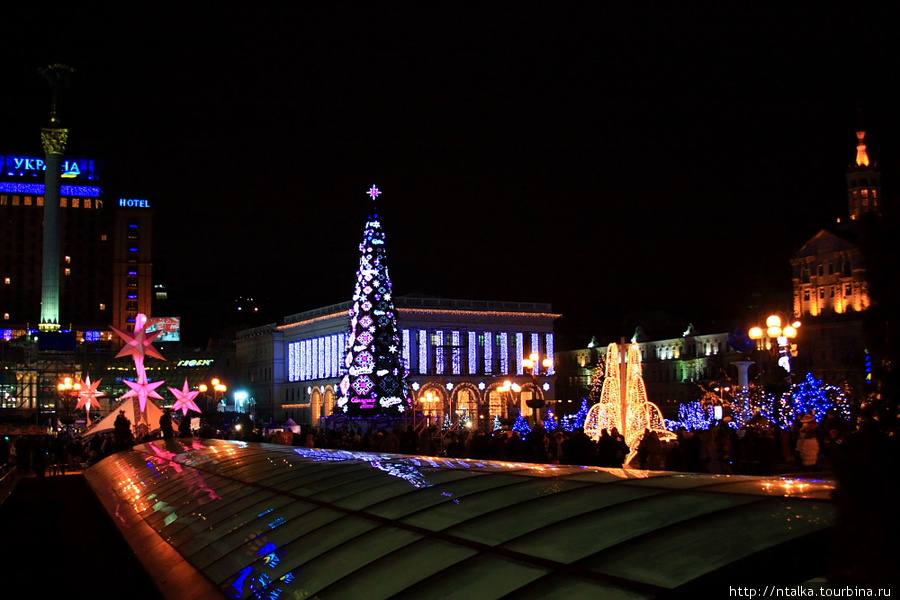 Киев нова. Елка 2011 Киев. Киев новый год Хортица. Киев фото 2016 год.