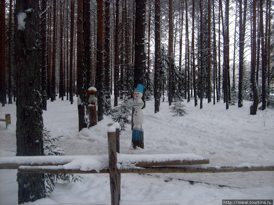 Там лес видений полон Великий Устюг, Россия