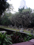 старинное кладбище
