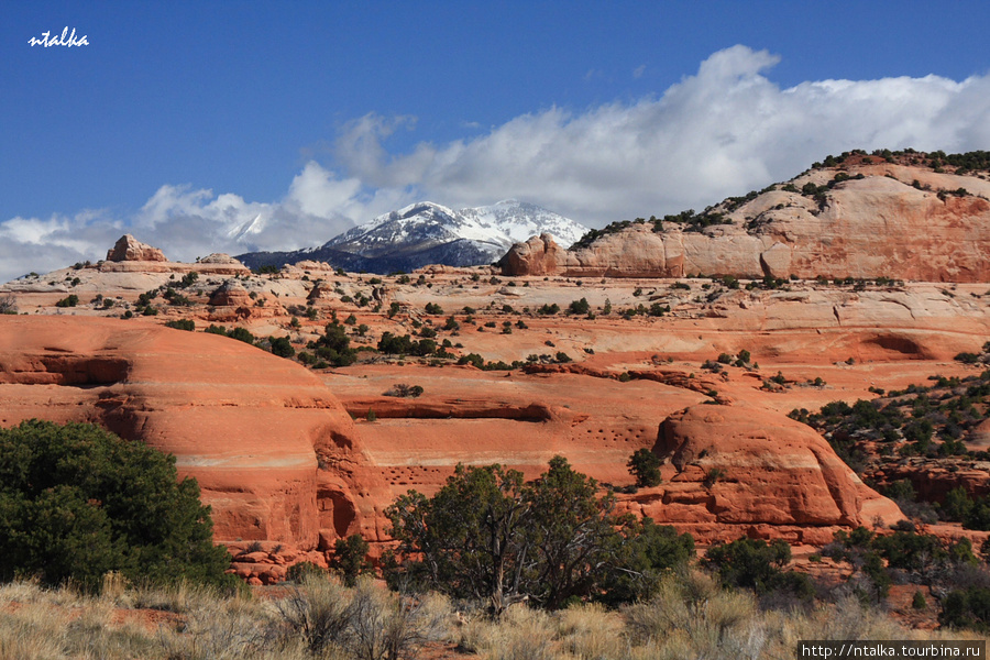 Arches National Park, Utah Национальный парк Арчес, CША