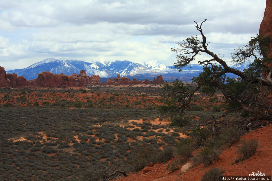 Arches National Park, Utah Национальный парк Арчес, CША