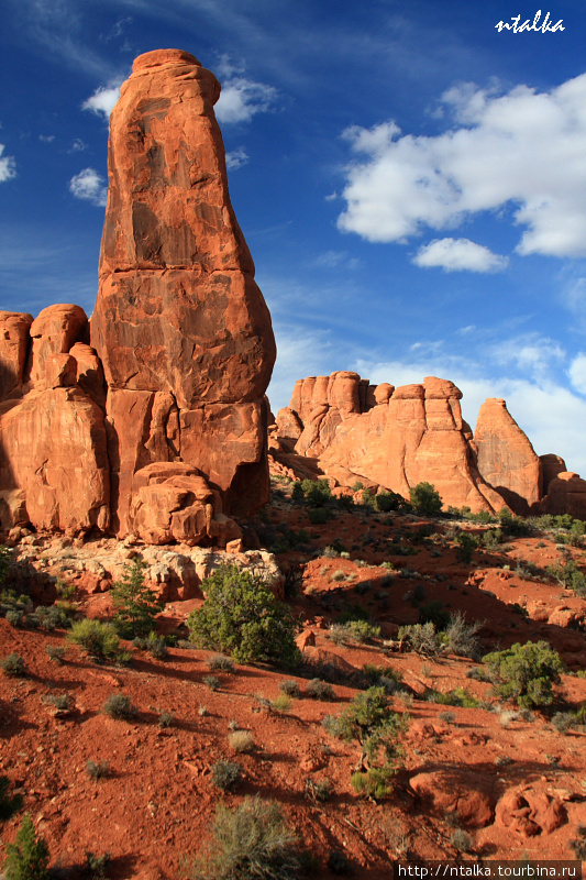 Arches National Park, Utah Национальный парк Арчес, CША