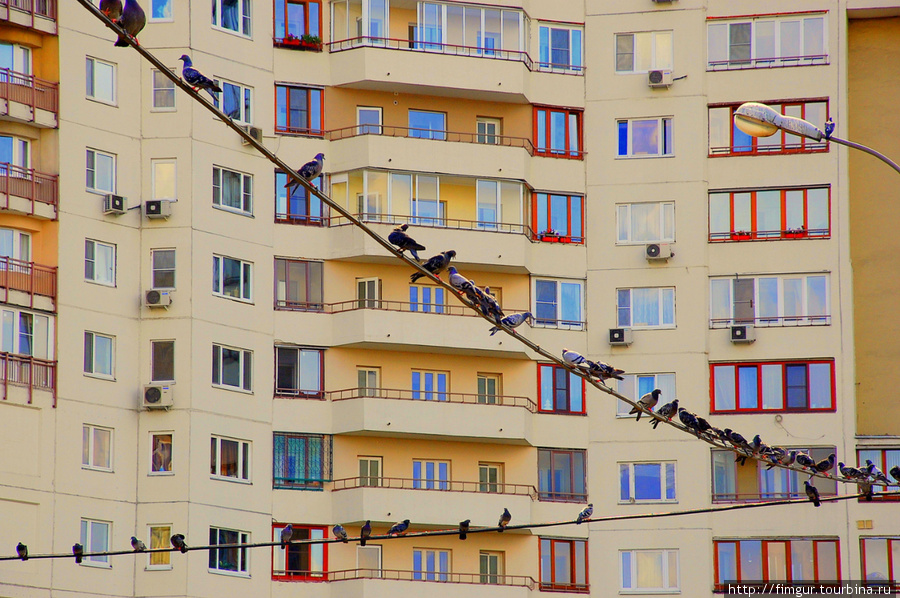 Москва из окна авто. Москва, Россия