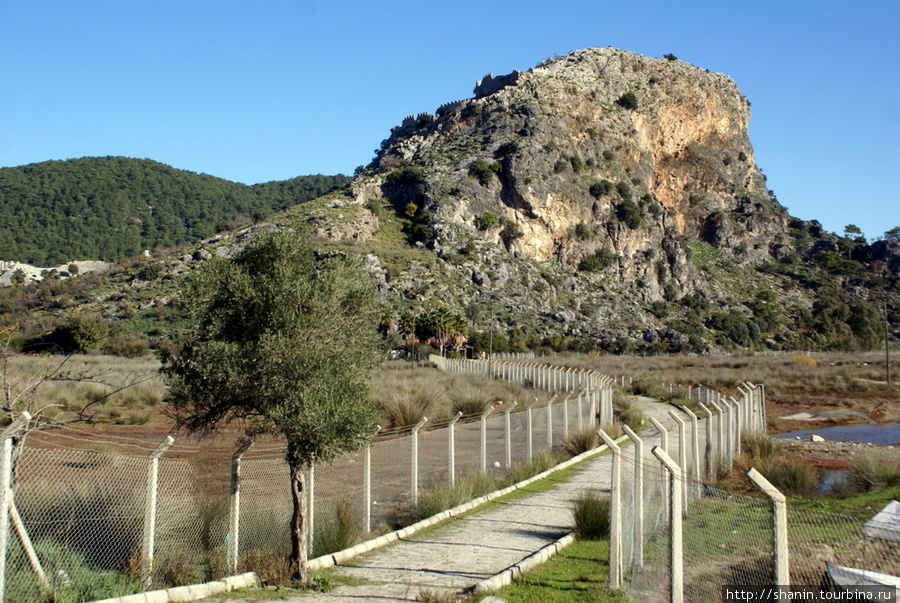 Дорога к руинам Кауноса — с двух сторон заборы из колючей проволоки Дальян, Турция