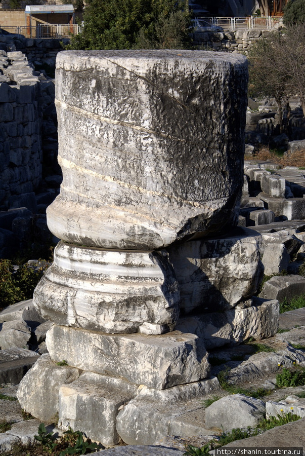 На руинах храма Аполлона Дидим, Турция