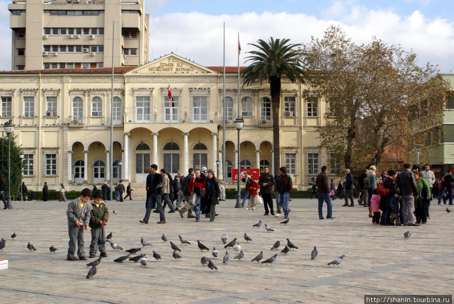 Голуби на площади Конак перед старым зданием Муниципалитета в Измире Измир, Турция