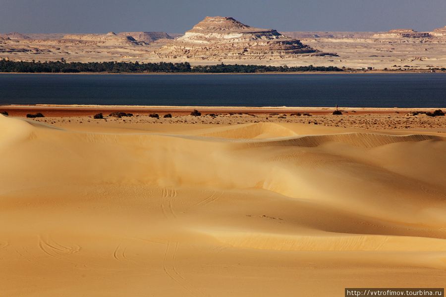 Вид на Siwa Lake c одной из дюн Оазис Сива, Египет