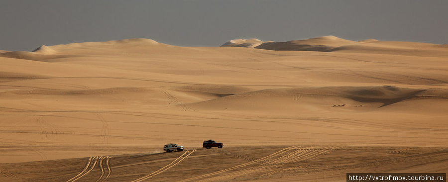 Джипы теперь частые гости в Great Sand Sea. Оазис Сива, Египет