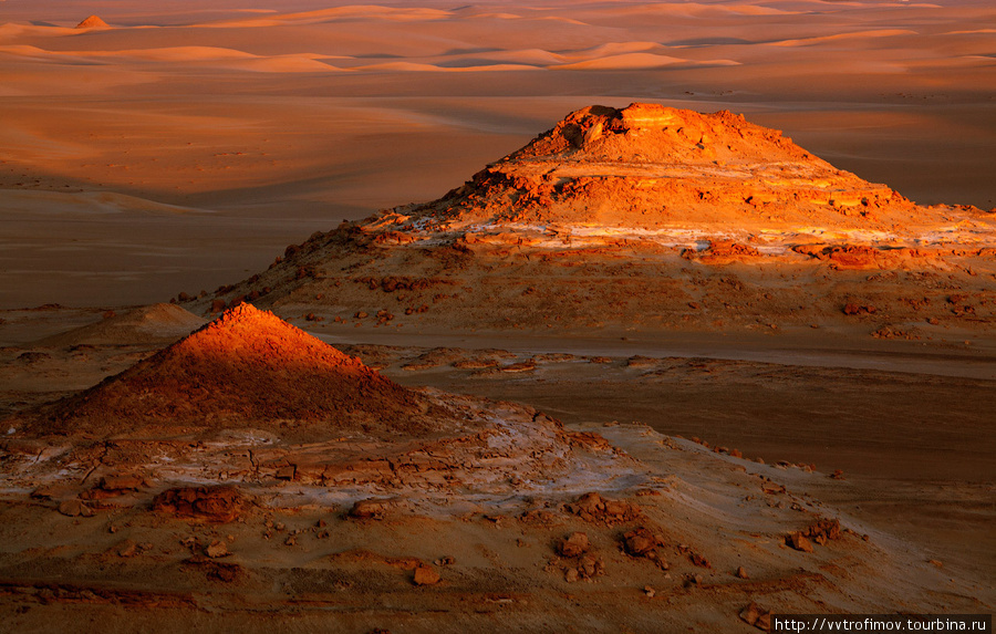 Great Sand Sea на закате — незабываемое зрелище Оазис Сива, Египет