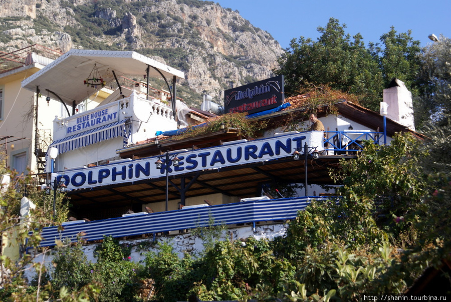 Ресторан Дельфин в Каше Каш, Турция