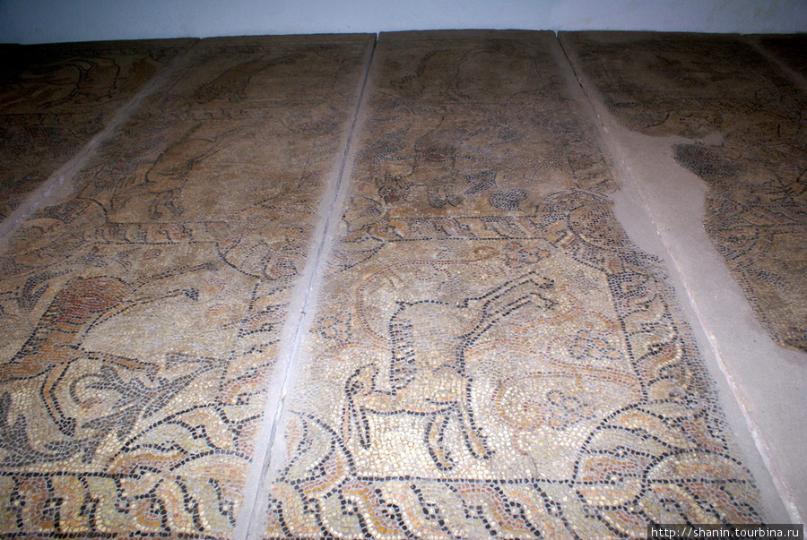 Римская мозаика в Конье Конья, Турция