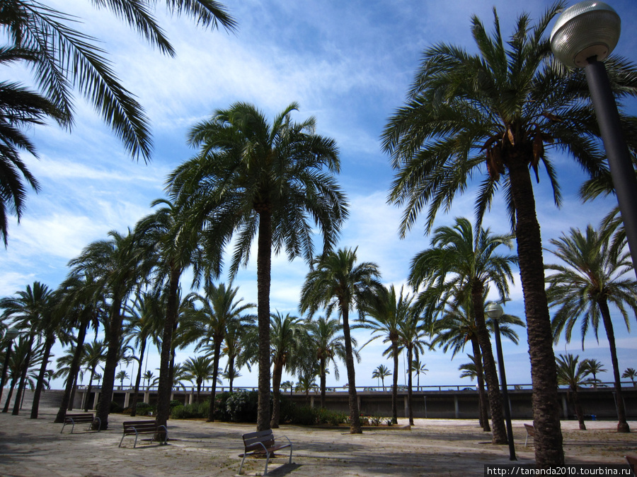Пальма-де-Майорка - ленивый отдых Пальма-де-Майорка, остров Майорка, Испания