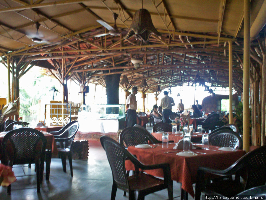 Обед в любимом ресторане Тендулкара Маджорда, Индия