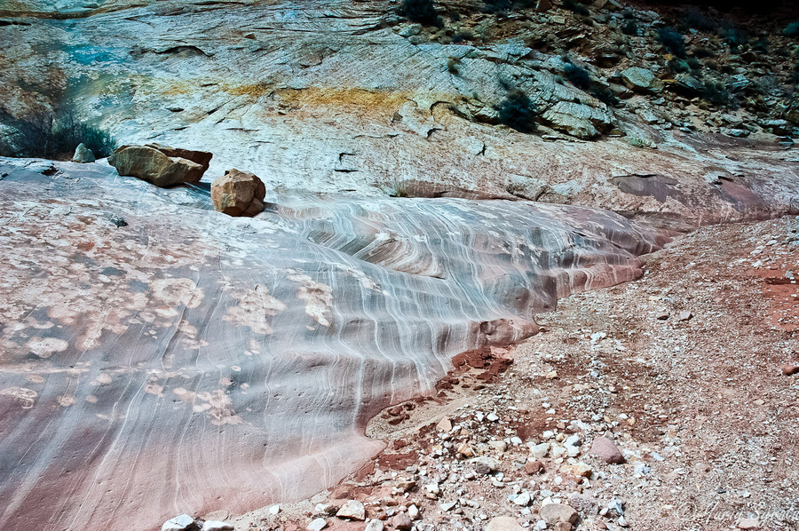 Дно каньона. Видны следы воды. Национальный парк Кэпитол-Риф, CША