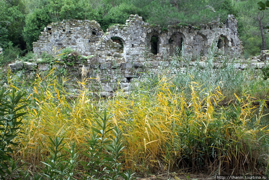 Руины Олимпа Чиралы, Турция