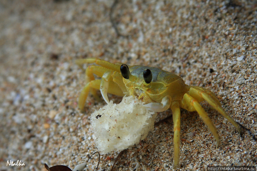 Cahuita & Cahuita National Park Кауита, Коста-Рика