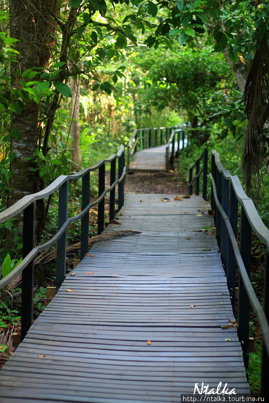 Cahuita & Cahuita National Park Кауита, Коста-Рика