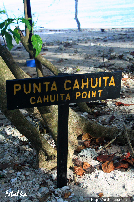 Cahuita & Cahuita National Park Кауита, Коста-Рика