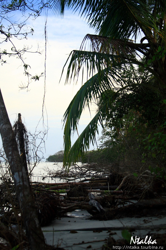 Cahuita & Cahuita National Park Кауита, Коста-Рика