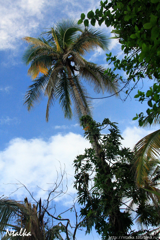 Cahuita & Cahuita National Park Кауита, Коста-Рика