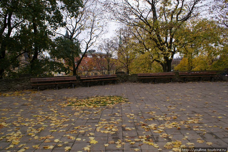 засыпанная листьями клена смотровая площадка Рига, Латвия