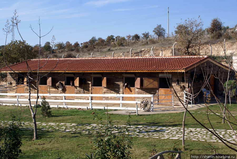 Конюшня на лошадиной ферме Эгейский регион, Турция