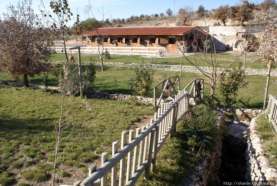 На территории парка у лошадиной фермы Эгейский регион, Турция