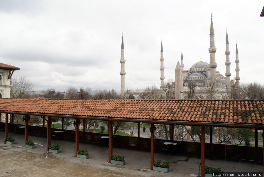 Вид из музея на Голубую мечеть Стамбул, Турция