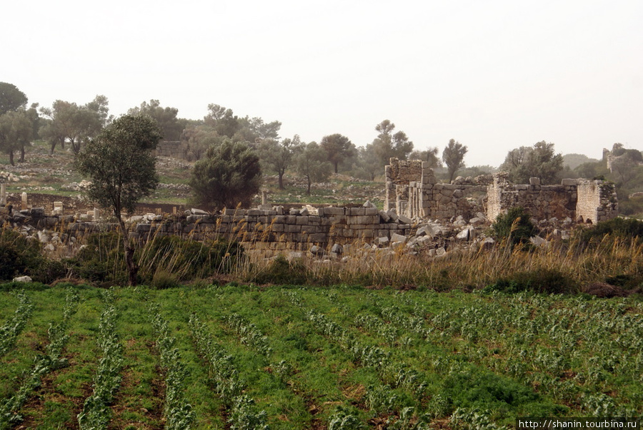 Огород на руинах Патары Патара, Турция