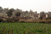 Огород на руинах Патары