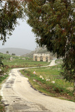 Дорога через руины Патары