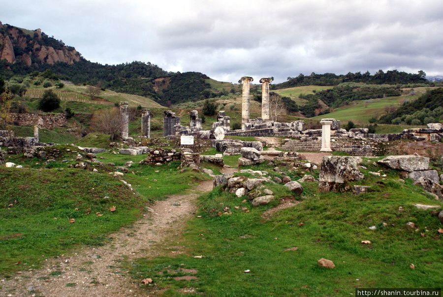 Дорожка к руинам храма Артимиды Эгейский регион, Турция