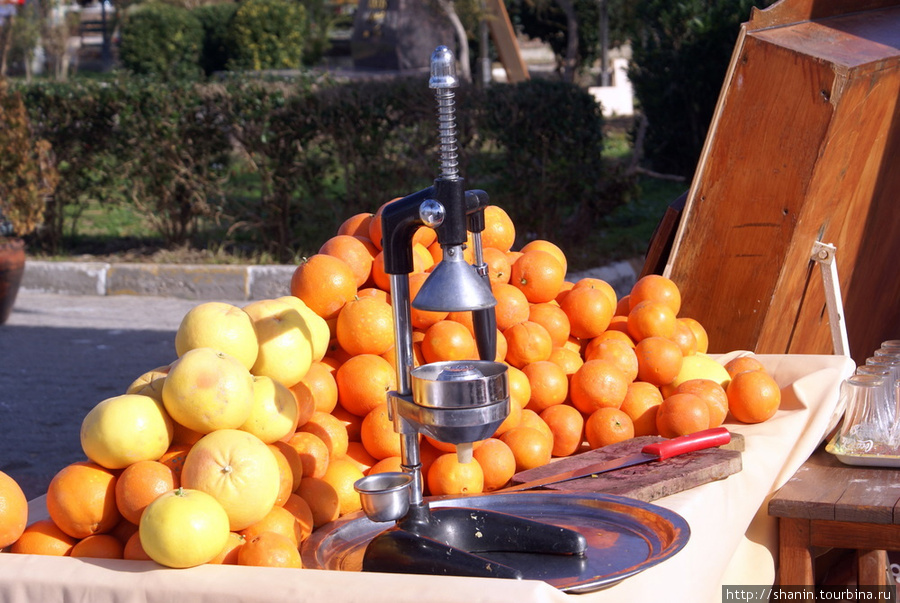 Свежевыжатый апельсиновый сок делают прямо на улице Сиде, Турция