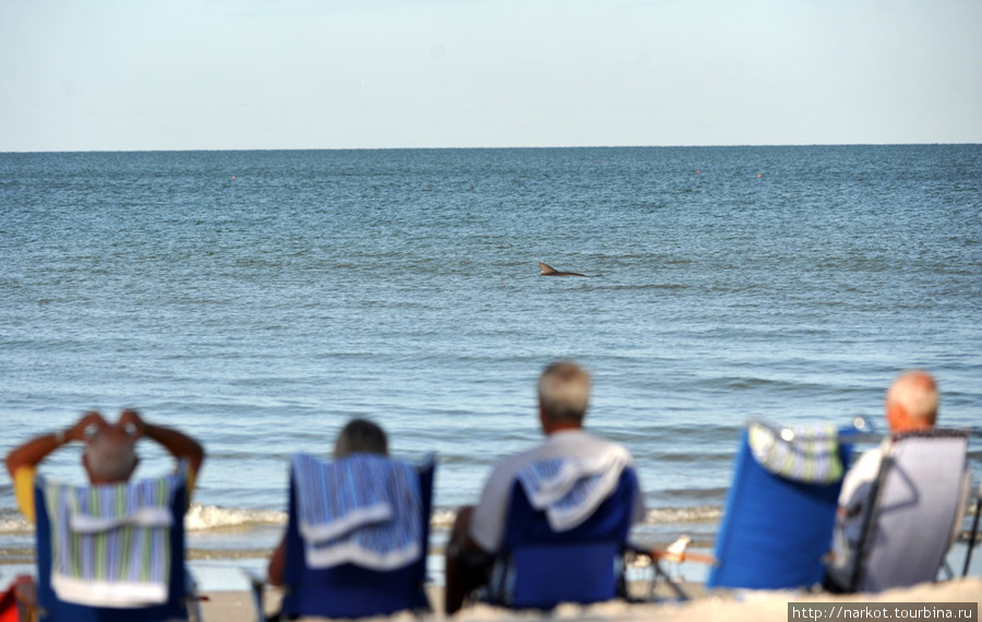 Форт, пенсионеры наблюдают дельфинов на пляже. Майами-Бич, CША