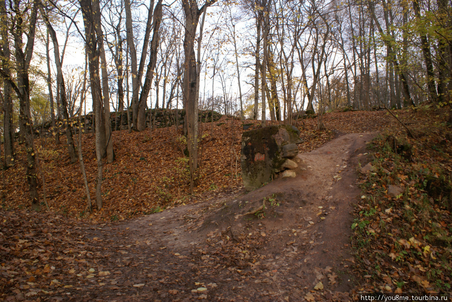 дорожка в лесу Сигулда, Латвия