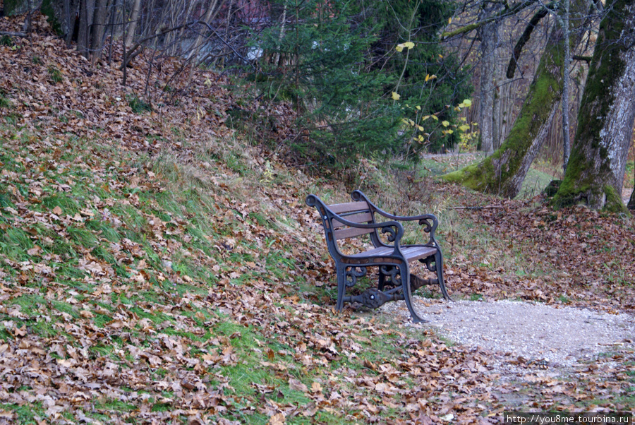 среди опавших листьев Сигулда, Латвия